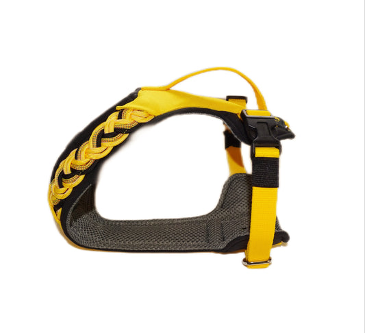 Gepolstertes Hundegeschirr Gelb, personalisierbar