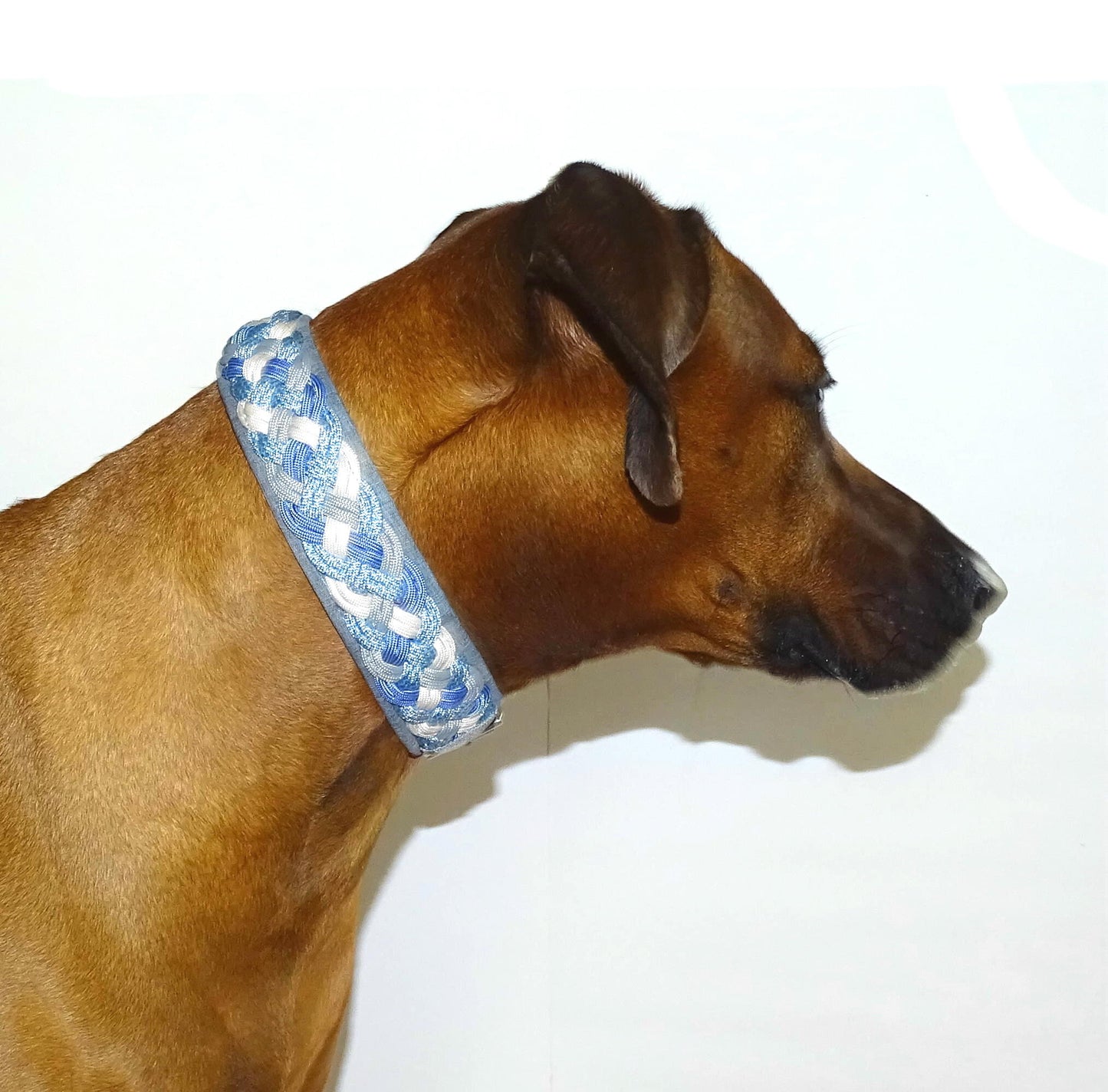 Paracordhalsband gepolstert Blau-Grau