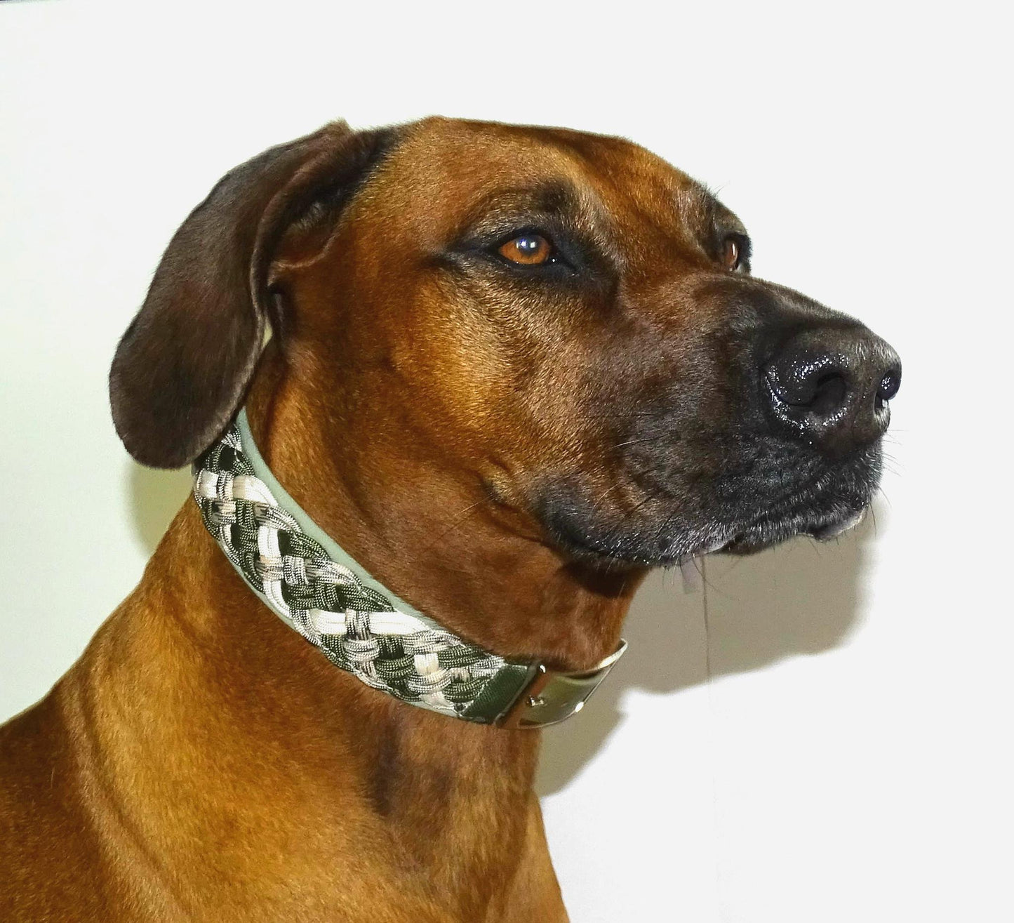 Paracordhalsband gepolstert Olive verstellbar
