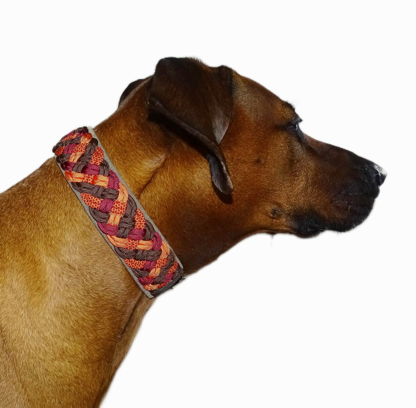 Paracordhalsband gepolstert Orange-Braun verstellbar