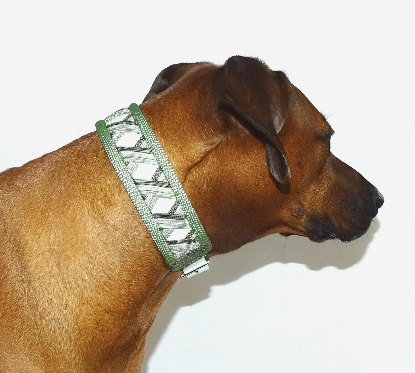 Funny Biothane Halsband Grün verstellbar