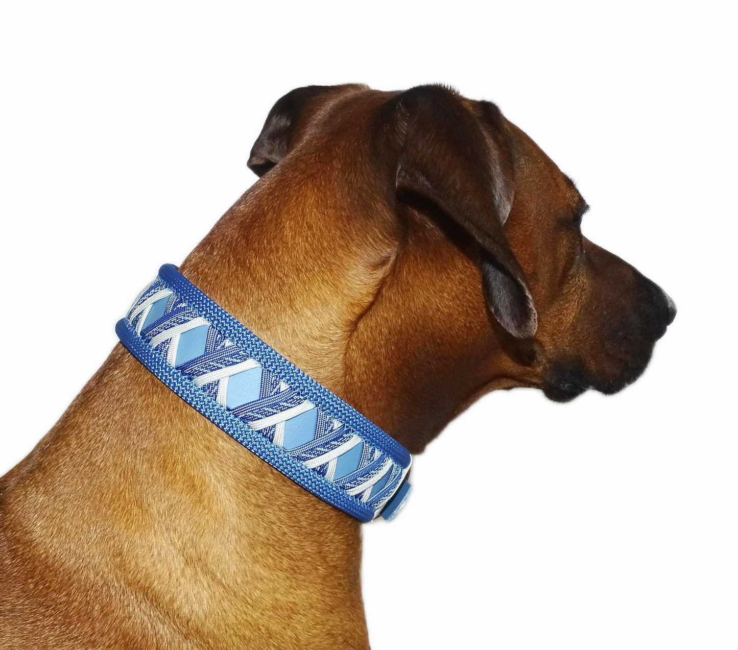 Funny Biothane Halsband Blau verstellbar
