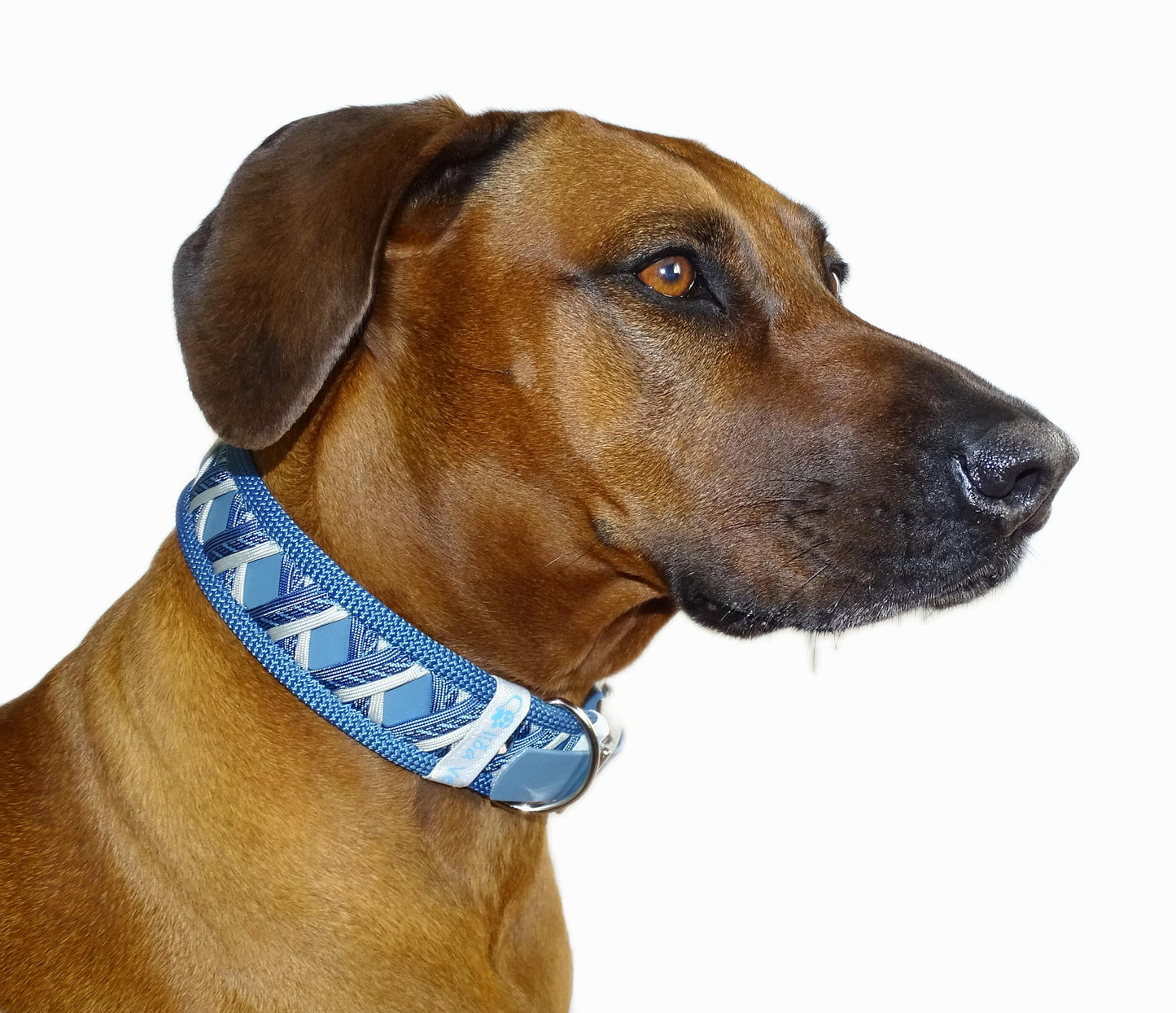 Funny Biothane Halsband Blau verstellbar