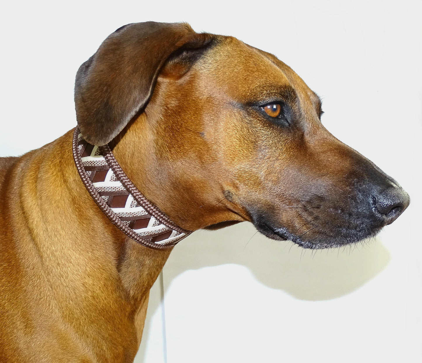 Funny Biothane Halsband Braun verstellbar