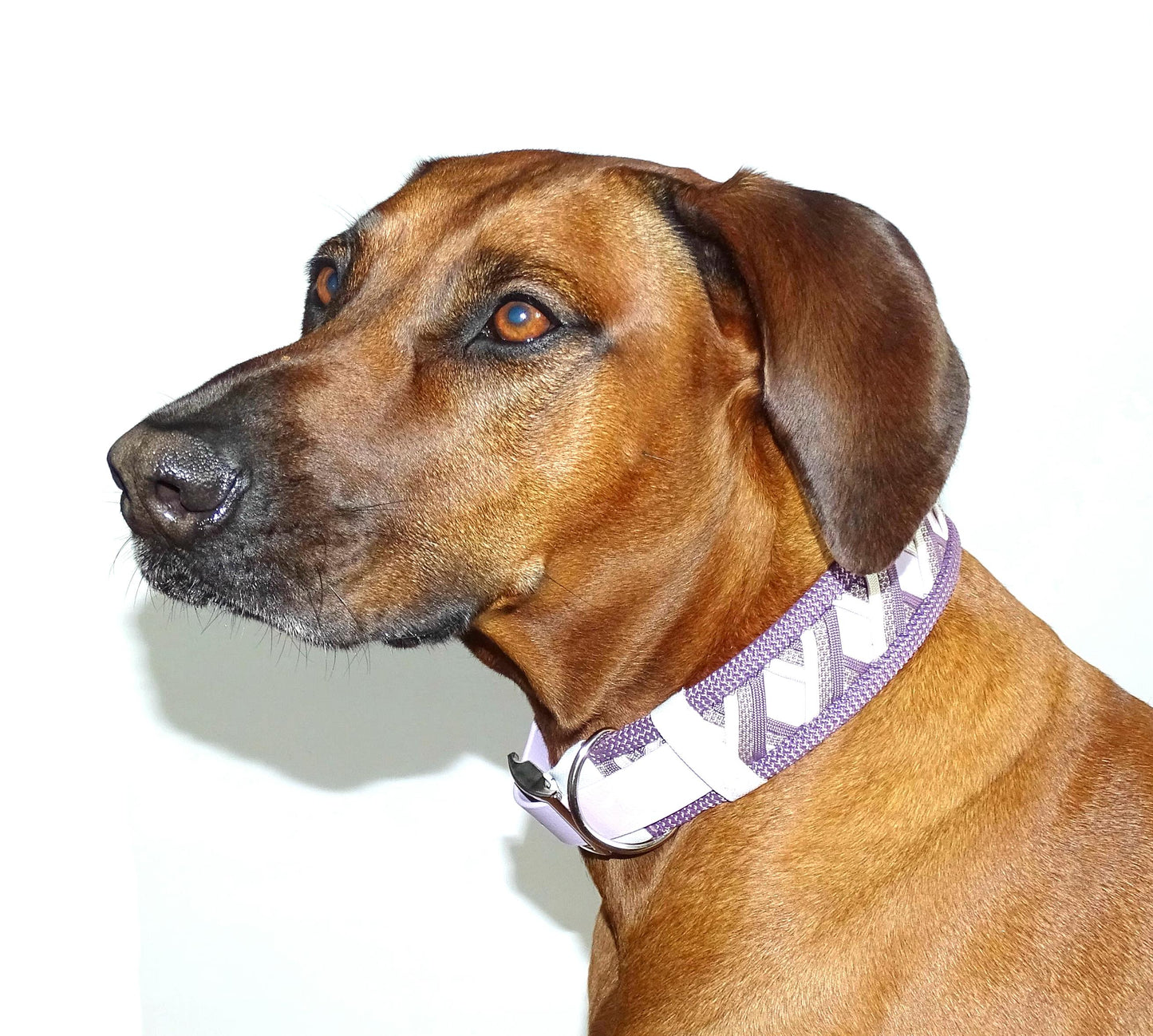 Funny Biothane Halsband Mauve verstellbar