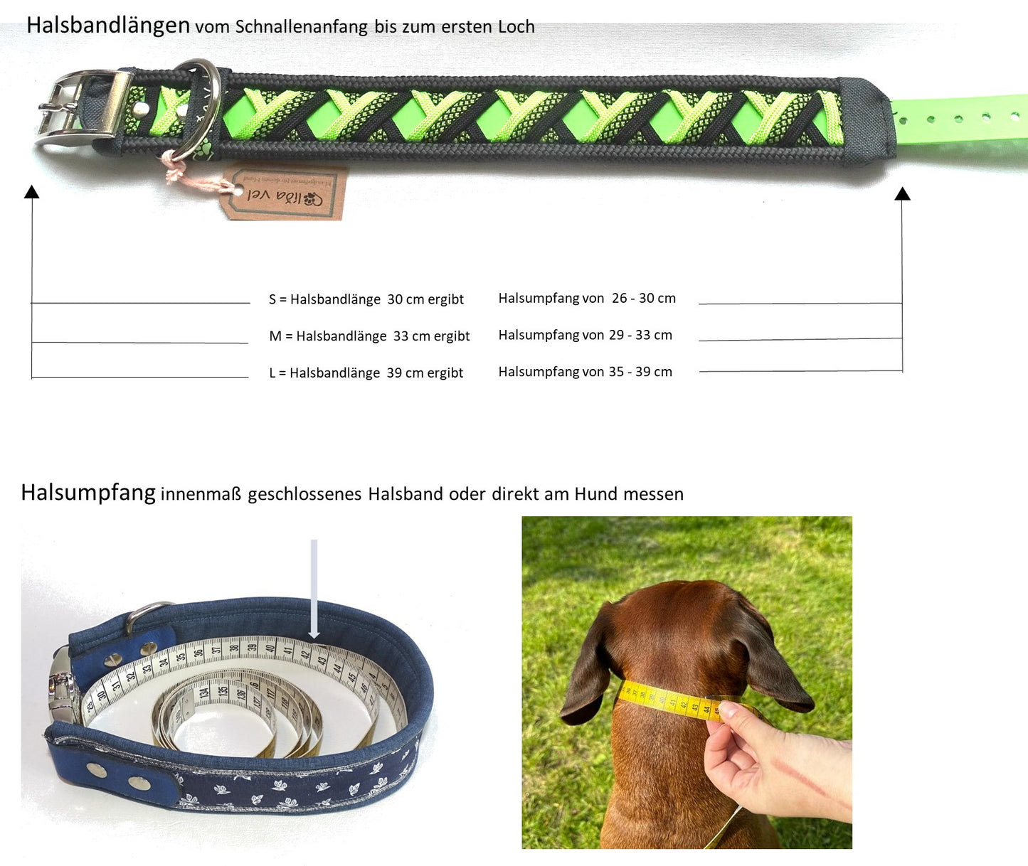 Funny Biothane Halsband Grün verstellbar