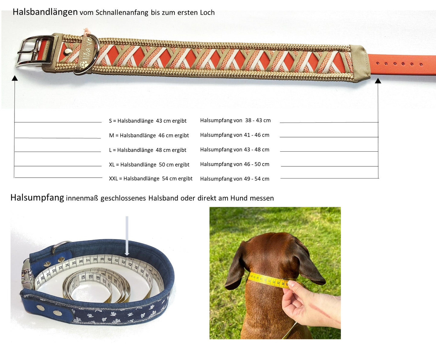 Funny Biothane Halsband Terrakotta verstellbar