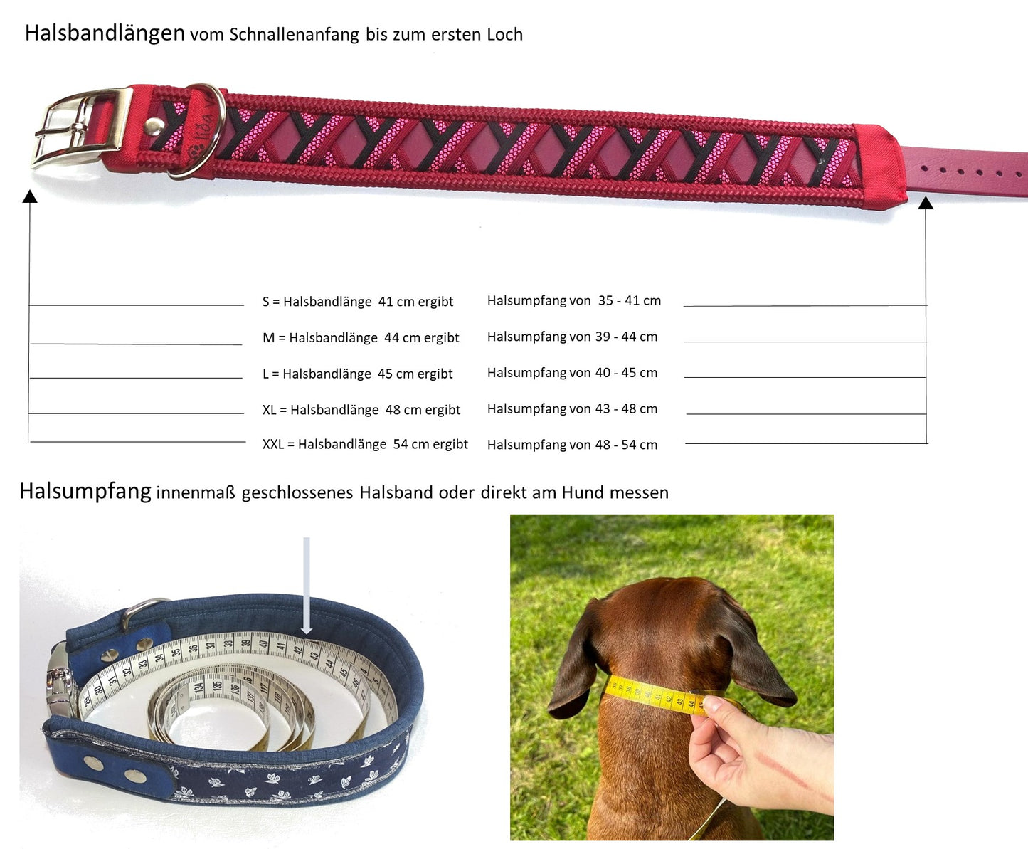 Funny Biothane Halsband Bordeaux verstellbar