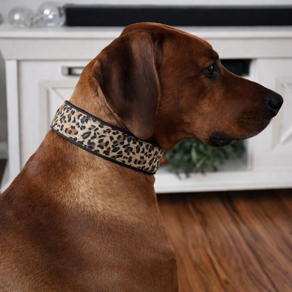 Hundehalsband gepolstert in Leo Print verstellbar