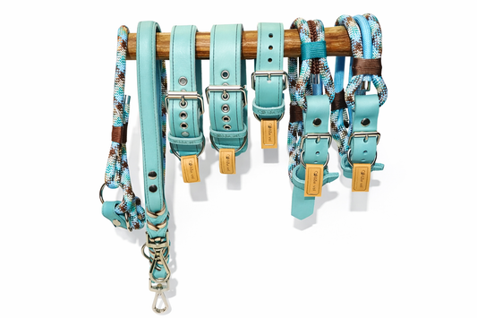 Fettlederhalsband Ice Blau