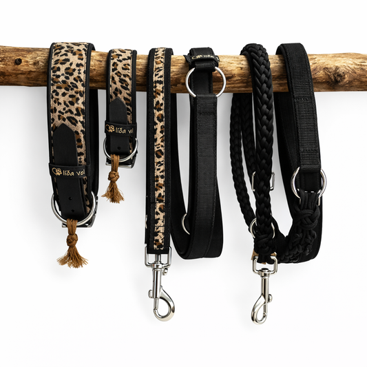 Hundehalsband gepolstert in Leo Print verstellbar