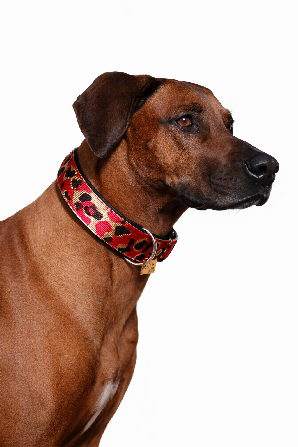 Hundehalsband gepolstert in Leo Rot verstellbar