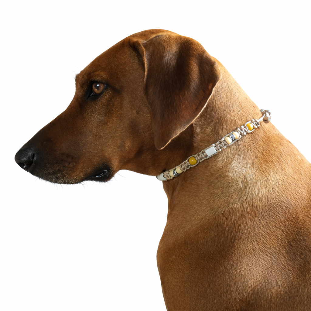 Marken Halsband Taupe