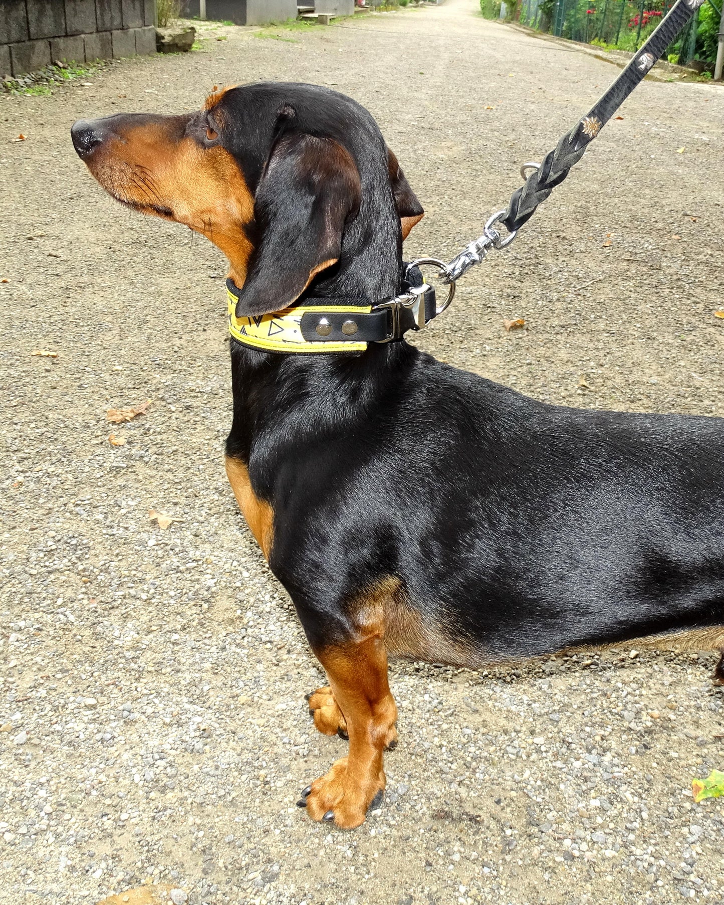 Hundehalsband Tara gepolstert Halsumpfang 30 cm