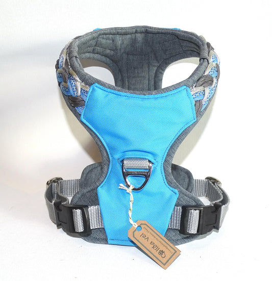 Gepolstertes Hunde Geschirr hell Blau Paracord, personalisierbar