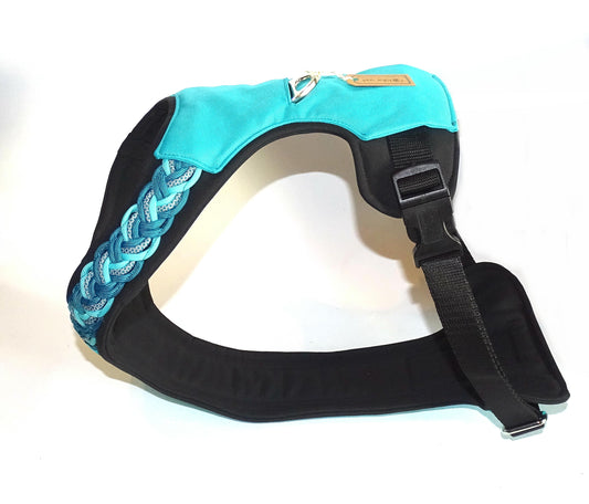 Gepolstertes Hunde Geschirr Türkis Paracord, personalisierbar