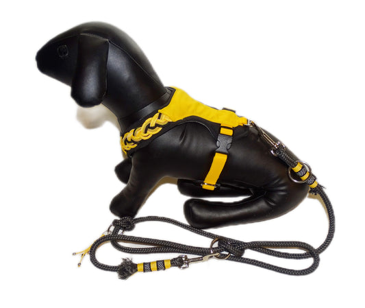 Gepolstertes Hundegeschirr Gelb, personalisierbar