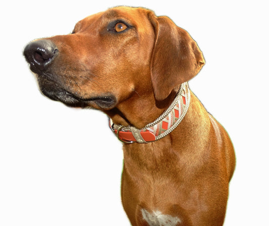 Funny Biothane Halsband Terrakotta verstellbar