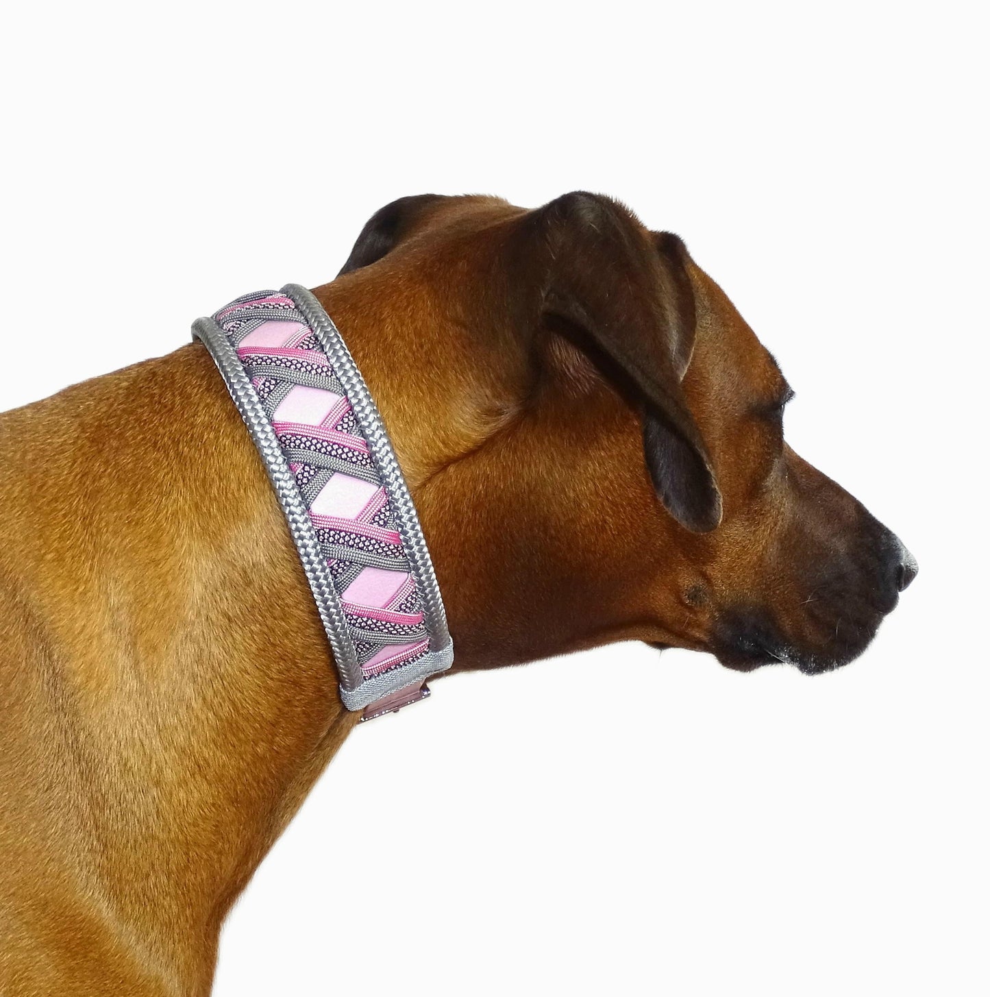 Funny Biothane Halsband Rosa verstellbar