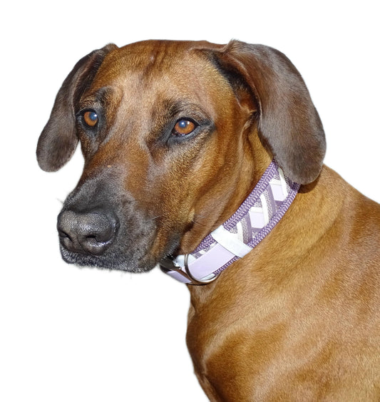 Funny Biothane Halsband Mauve verstellbar