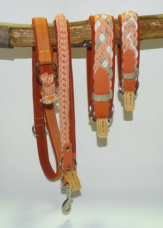 Paracordhalsband Softshell gepolstert Orange verstellbar