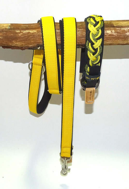 Paracordhalsband gepolstert Schwarz-Gelb