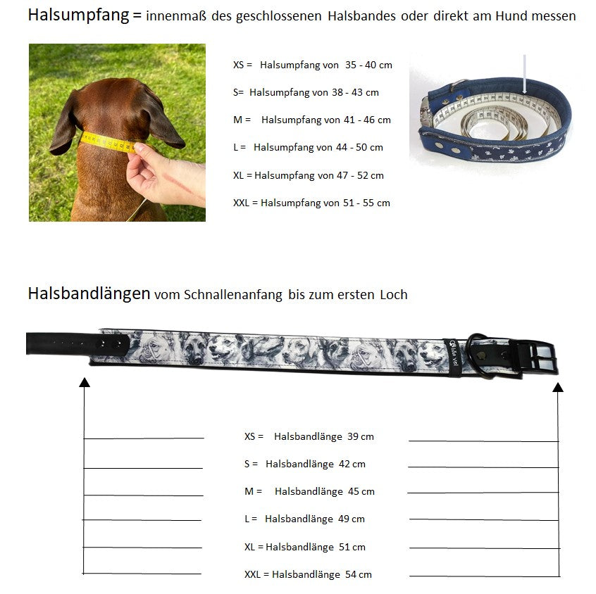 Alva gepolstertes Biothane Halsband Safari verstellbar