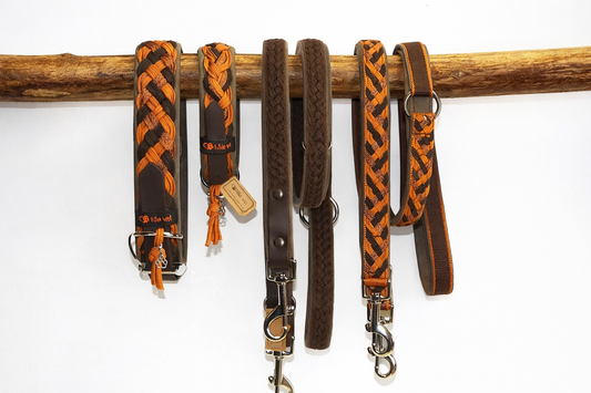 Paracordhalsband gepolstert in Cognac verstellbar