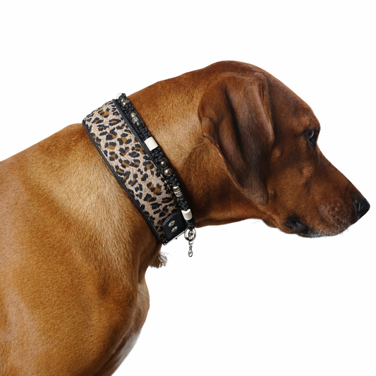 Marken Halsband Schwarz