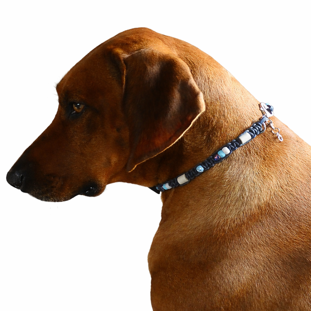 Marken Halsband dunkel Blau