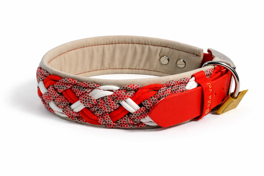 Paracordhalsband gepolstert in rot verstellbar