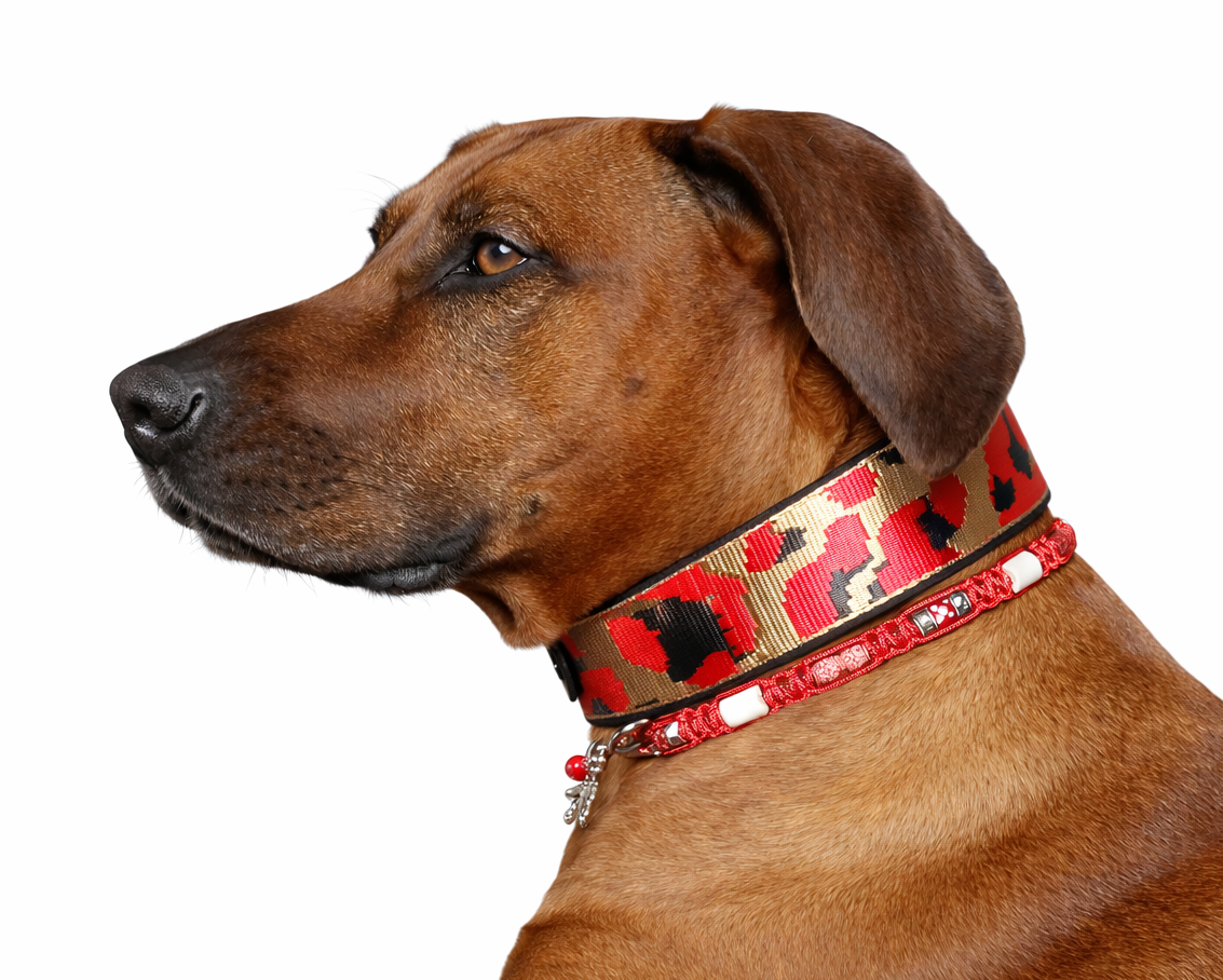 Marken Halsband Rot