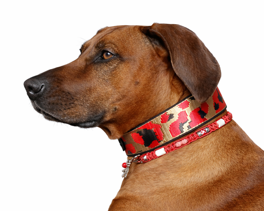 Marken Halsband Rot