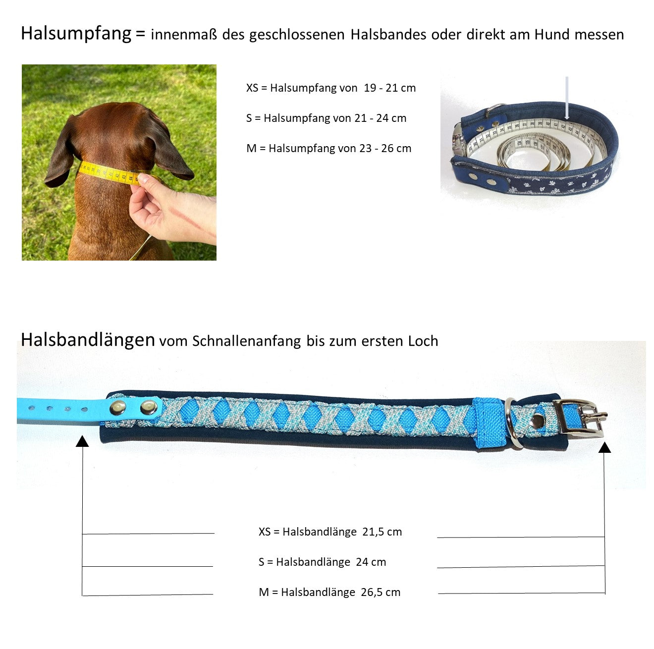 Funny Halsband Blau verstellbar