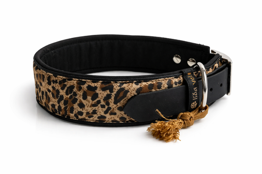 Hundehalsband gepolstert in Leo Print verstellbar