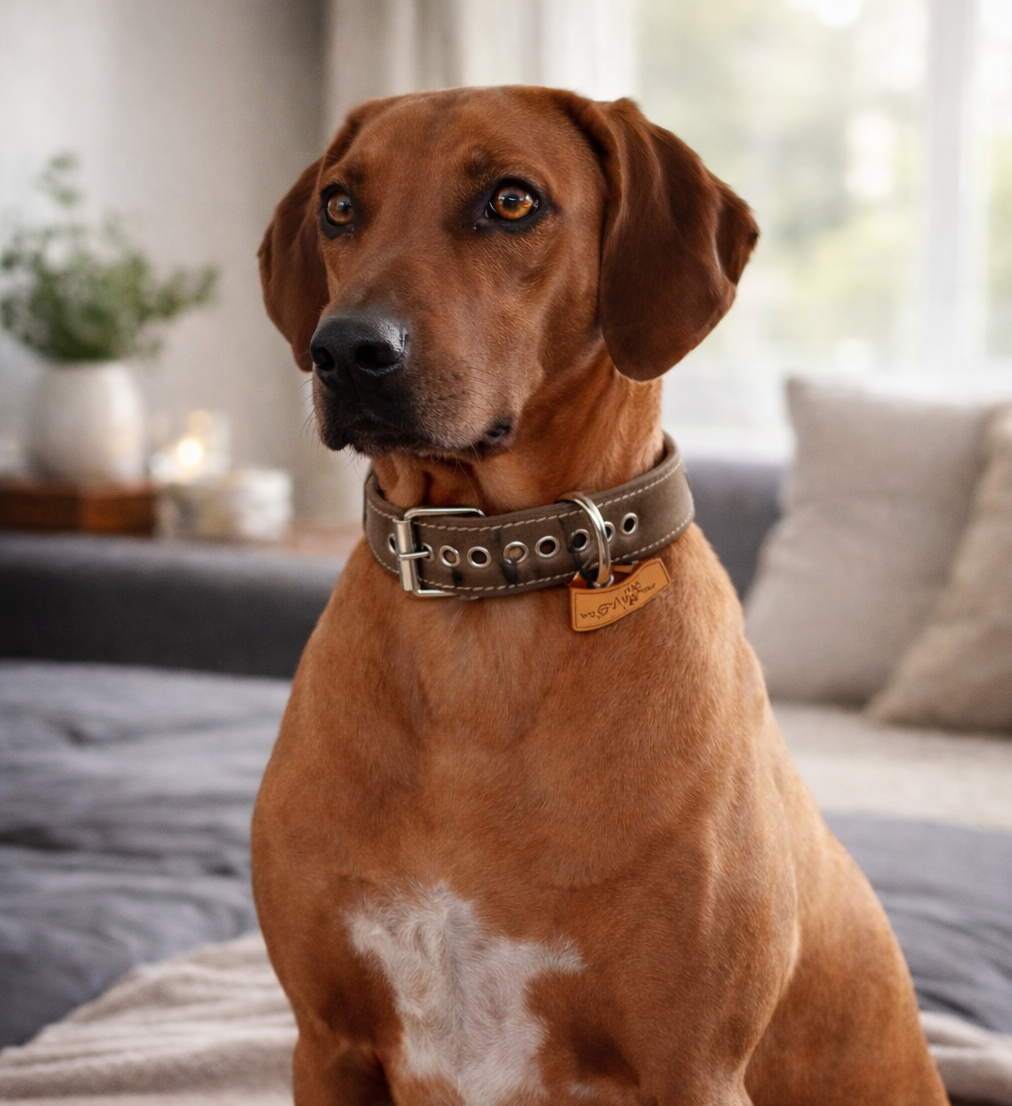 Fettlederhalsband Taupe