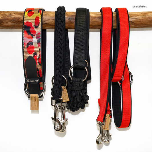 Hundehalsband gepolstert in Leo Rot verstellbar