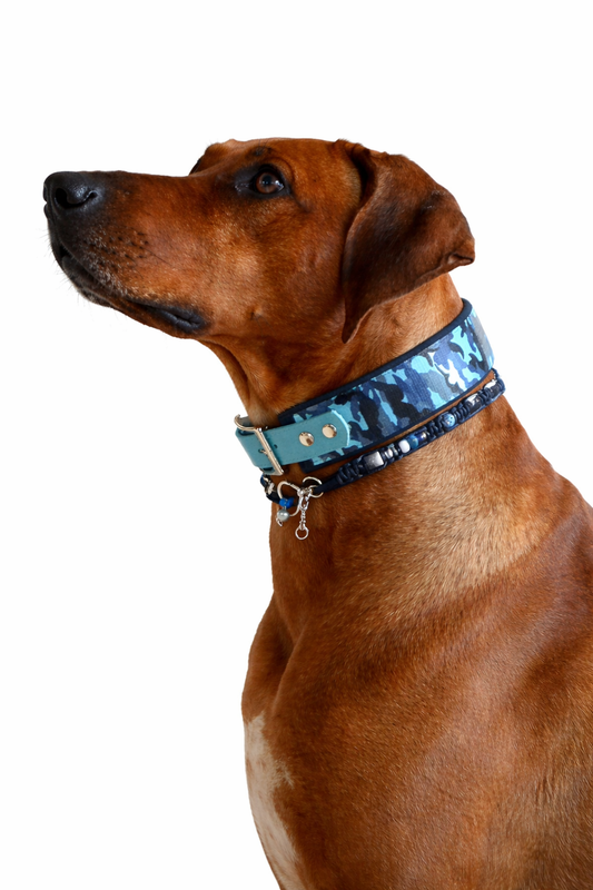 Marken Halsband dunkel Blau