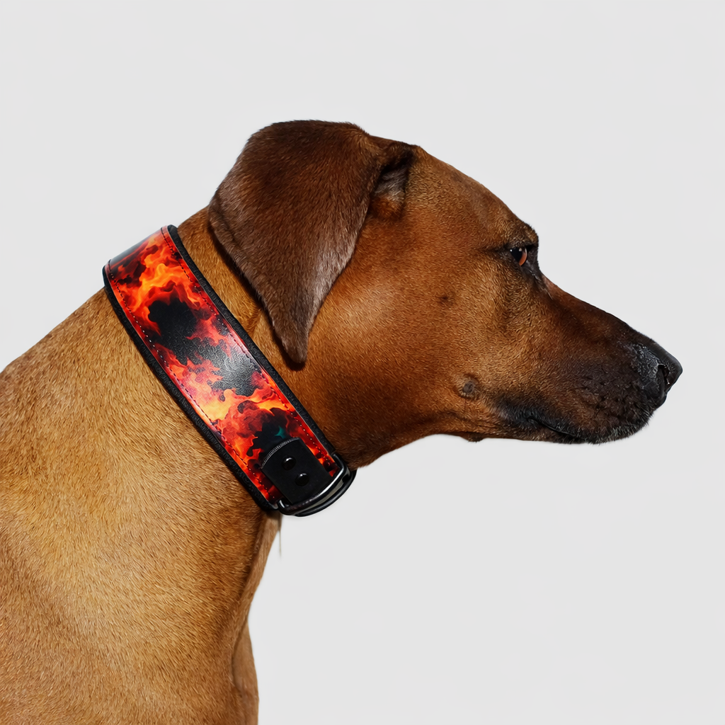 Alva gepolstertes Biothane Halsband Flammen verstellbar