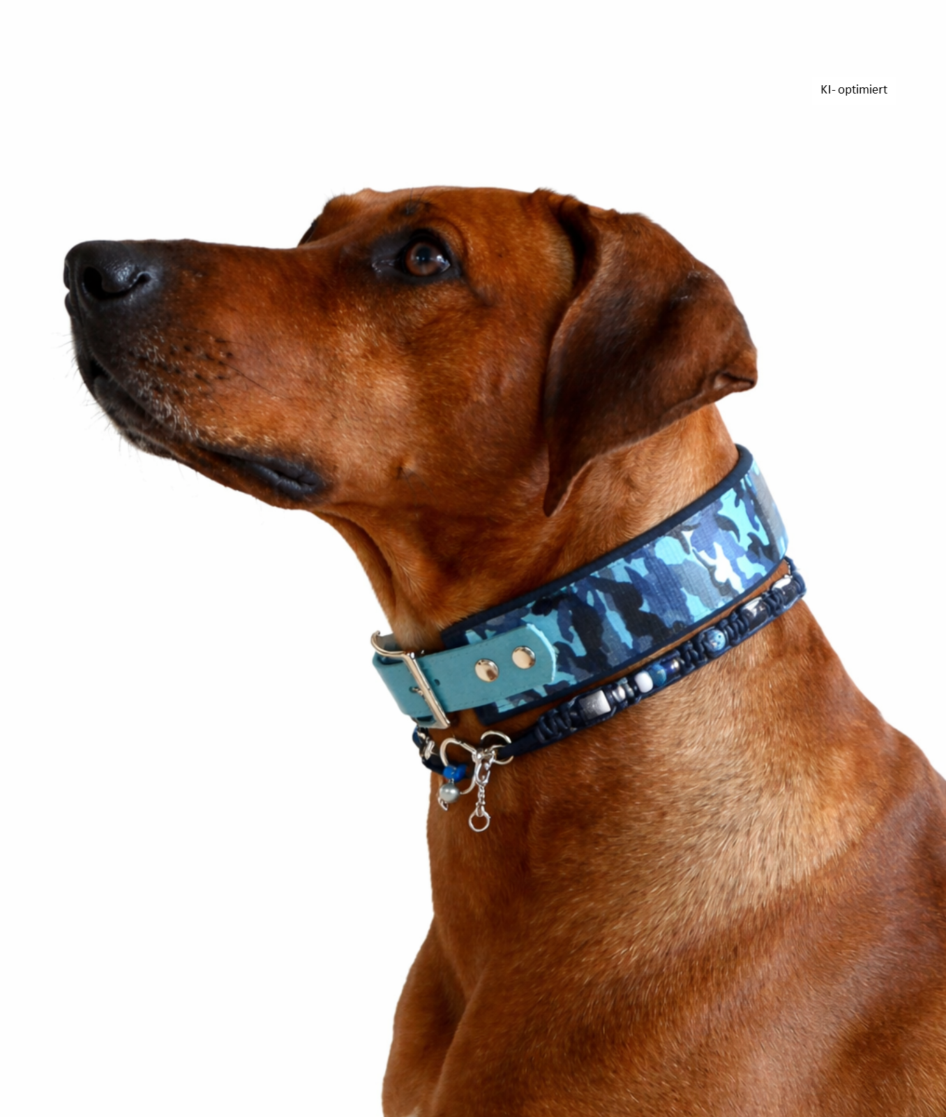 Hundehalsband gepolstert in Camouflage Blau verstellbar