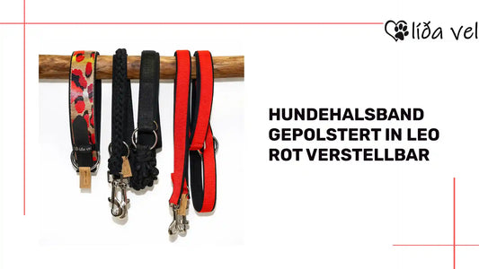 Hundehalsband gepolstert in Leo Rot verstellbar by@Outfy
