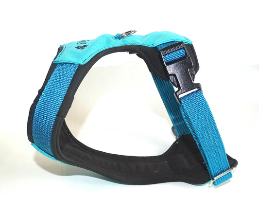 Gepolstertes Hunde Geschirr blau, personalisierbar